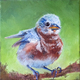 Bluebird 1