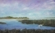 Egret on the marsh
