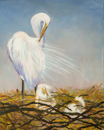 Egret nest