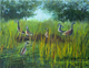 Gathering of geese