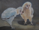 Owlets