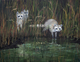 Raccoon kits