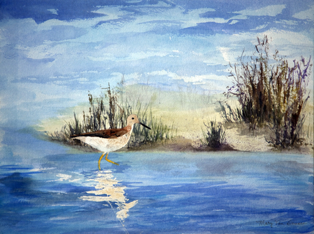 Sandpiper